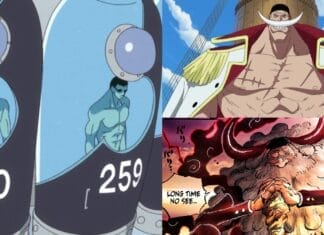 Uma colagem de alguns One Piece personagens que podem ter sido clonados: Edward Newgate, também conhecido como Barba Branca e Jaygarcia Saturno do Gorosei.